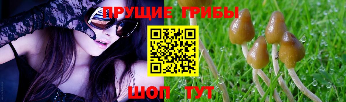 цены наркотик  Галлюциногенные грибы GOLDEN TEACHER  Вход с VPN  Псилоцибиновые грибы мицелий  Астрахань 